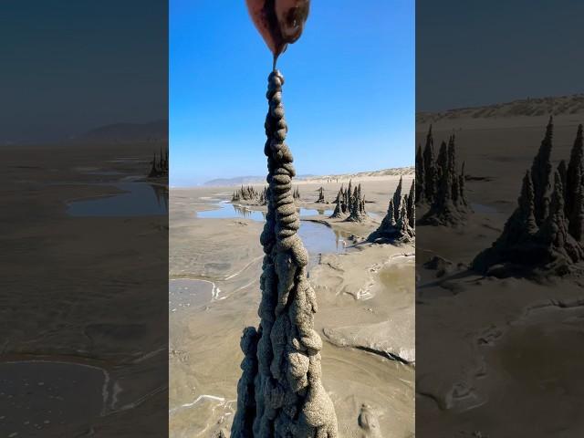 Sand Art #oddlysatisfying #satisfying #beach #sandcastle #sand #sandsculpture