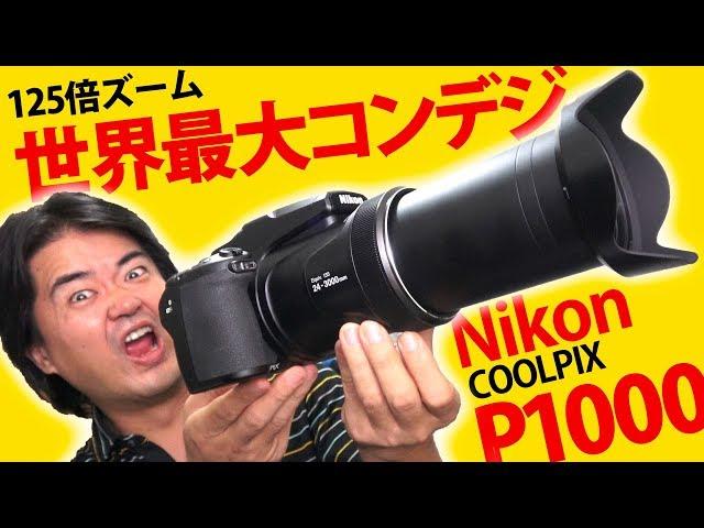 【世界最大コンデジ】Nikon COOLPIX P1000 徹底レビュー！驚異の125倍ズーム 24-3000mm 超望遠レンズが写し出す静止画！4K動画をご覧ください【怪物カメラ】