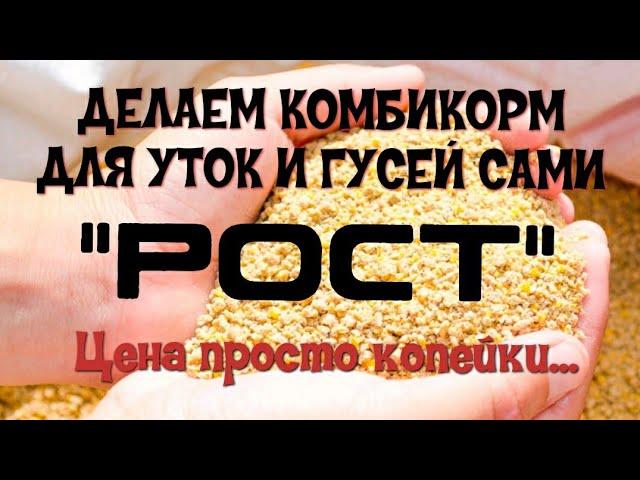 Рецепт комбикорма для гусей и уток/Готовим зерно смесь сами/Как приготовить зерно смесь для гусей