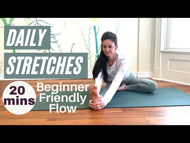 DAILY STRETCHES - 20 min beginner-friendly yoga flow // Open most angles. Start your day right!