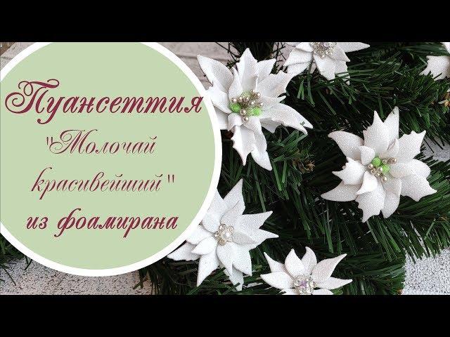 Пуансеттия «Молочай красивейший» из фоамирана / Foamiran poinsettia tutorial