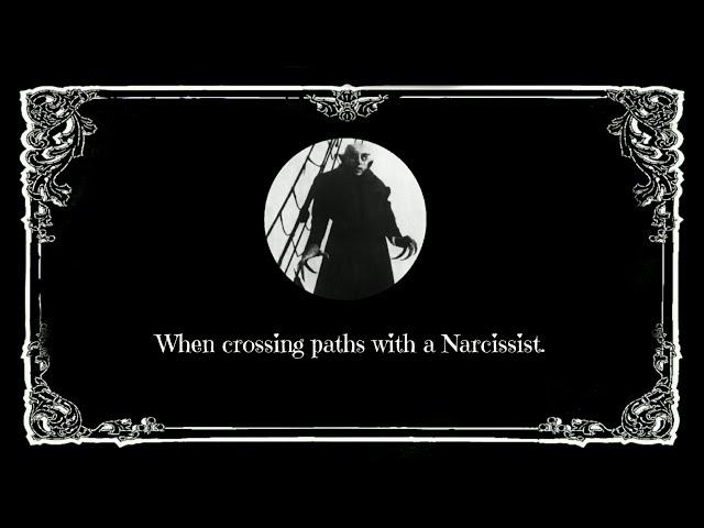 When Crossing paths with a Narcissist; Tread carefully, and Despacito.