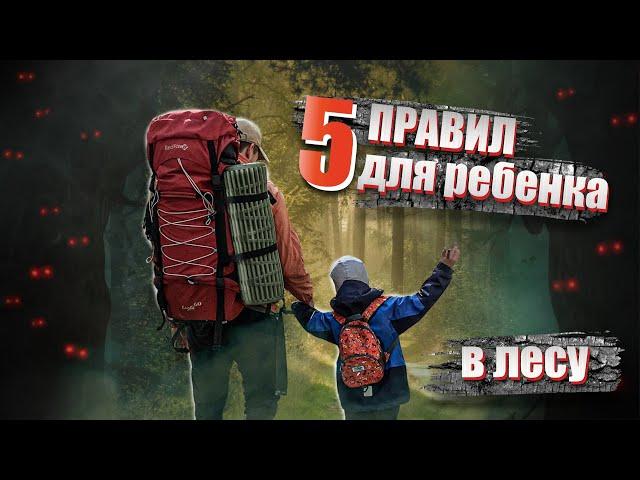 5 правил поведения, для ребенка в лесу. Поход с детьми.