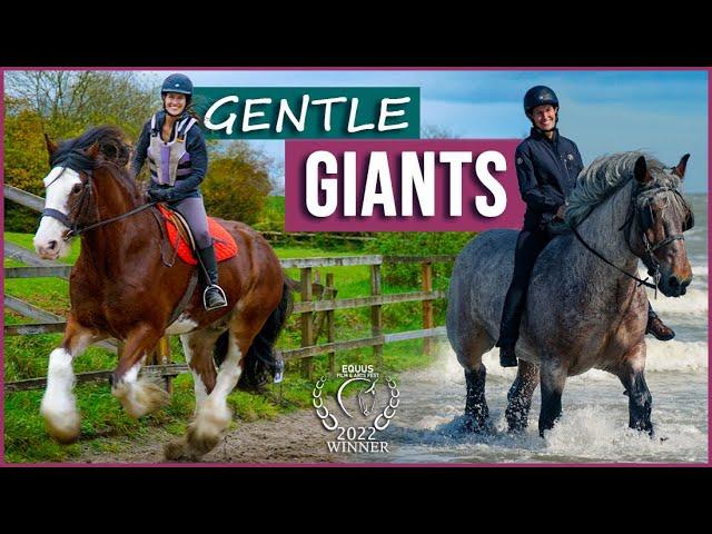 Gentle Giants | Award-Winning Film | Meet Amazing Draft Horses!