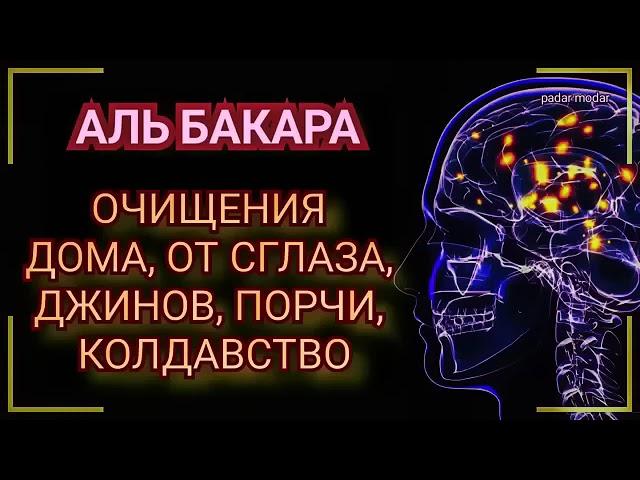 СУРА АЛЬ БАКАРА. ДЛЯ СПОКОЙСТВИЯ ДУШИ