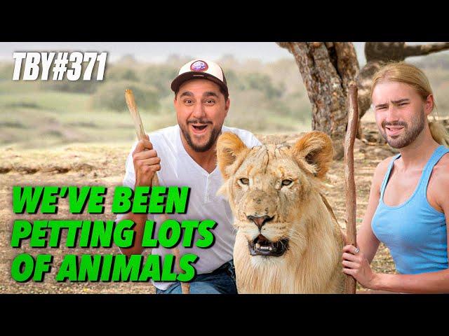 We've Been Petting Lots Of Animals| The Basement Yard #371