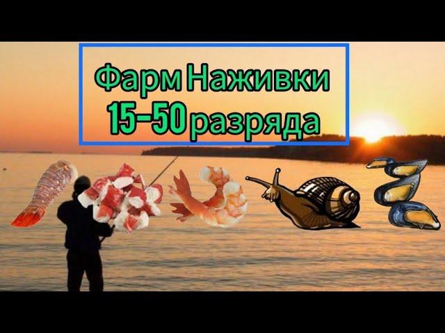 РР3 Фарм Наживки для Новичков (Рак Шейка, Улитка,Мидия, Креветка, Крабовое Мясо)