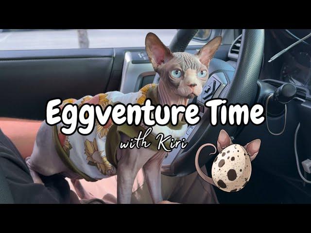 Eggventure time with Kiri 