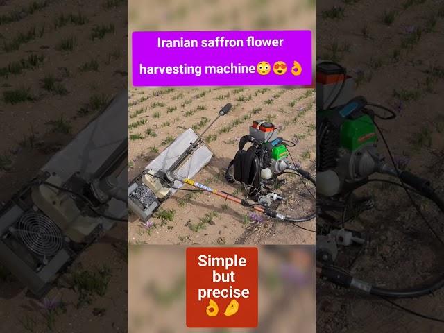 Iranian saffron flower harvesting machine