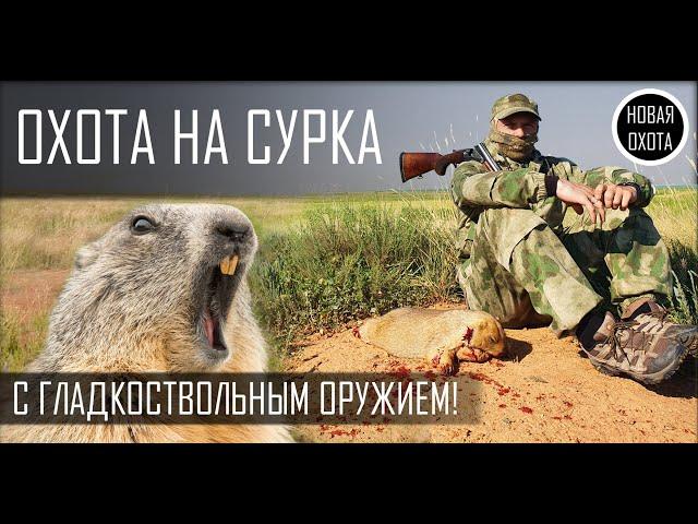 ОХОТА НА СУРКА С ГЛАДКОСТВОЛОМ - ТОЗ-34 РУЛИТ!