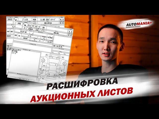 Как правильно читать аукционный лист?