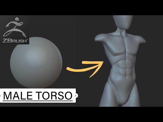 Zbrush Stylized Male Torso Speedsculpt Tutorial