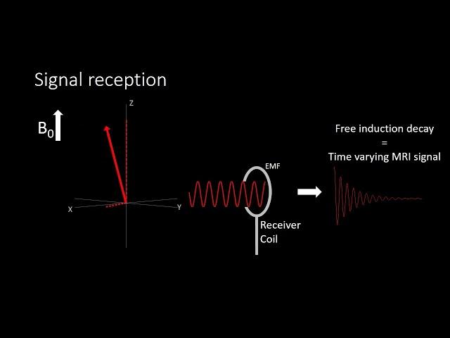 ISMRM MR Academy: MRI: The Classical Description