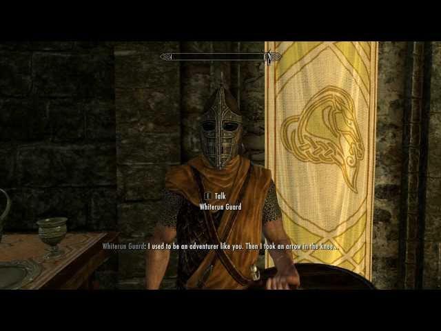 Skyrim - Arrow In The Knee Song!