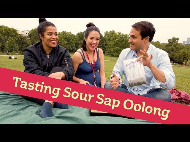 CHILL TEA SESSION - Tasting Sour Tie Guan Yin