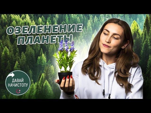 Озеленение планеты: какой вклад может внести каждый из нас? Давай начистоту! Выпуск №5