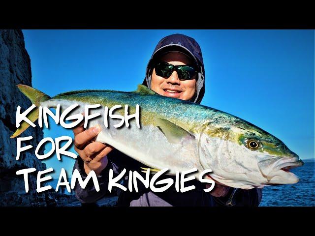 Kingfish for Team Kingies