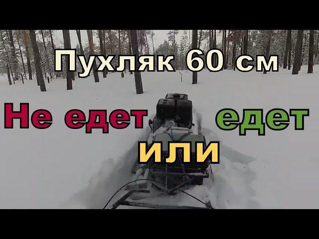 Пухляк 60 см. Тест мотособаки, мотобуксировщика.