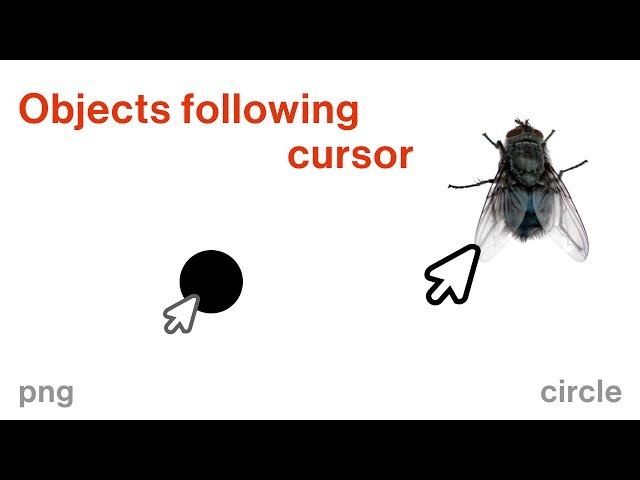 Circle and Fly following cursor (custom cursor animation for Cargo Collective)