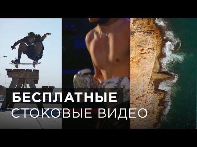 Бесплатные стоковые видео