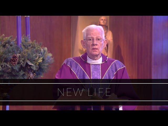 New Life | Homily: Monsignor William Fay