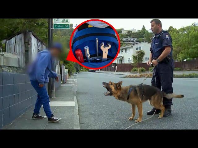 Police K9 Tracks Down Car Thieves In Crazy Pursuit!