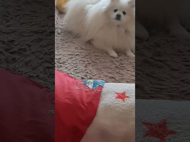 #лень