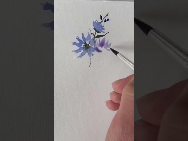 How to paint watercolor cornflower (Watercolor tutorial for beginners)