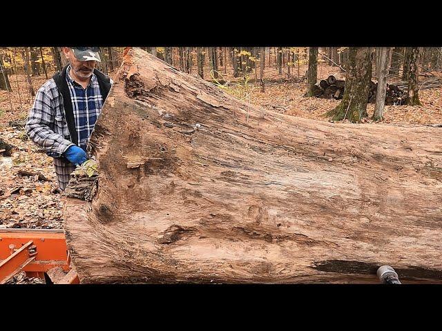 Honey Locust on the sawmill