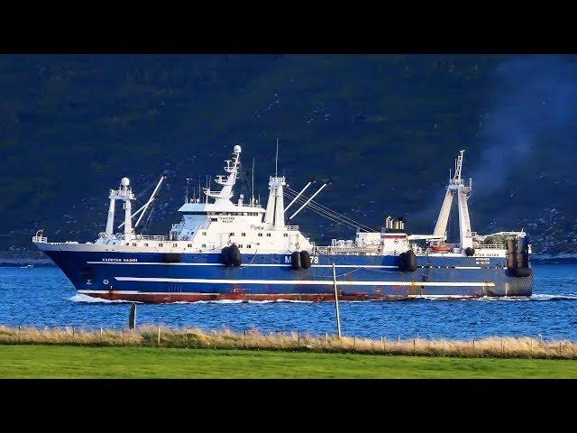 F/t Kapitan Nazin - bluewhiting fishing