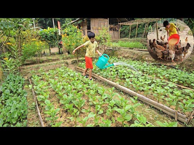 120 days living alone off the grid, raising chickens, growing vegetables to sell at the market.