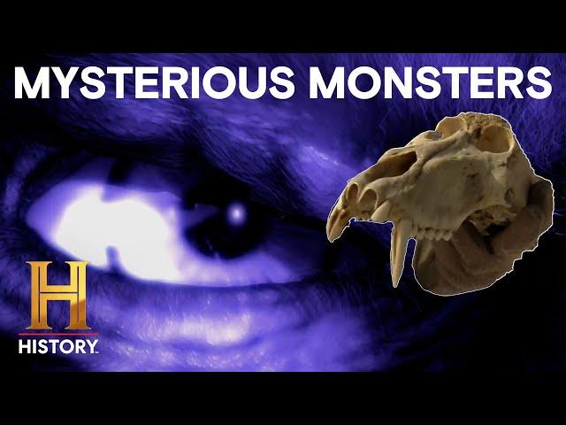 MonsterQuest: Mysterious Monsters On the LOOSE *2 Hour Marathon*