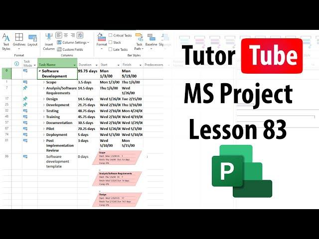 Microsoft Project - Lesson 83 - Creating Custom Filters and Sub Filters