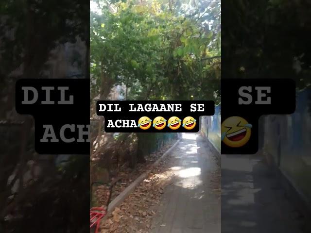 dil lagane se acha ye kare🪴 #funny #ytshorts #viral #viralsound #usethisaudio usethis