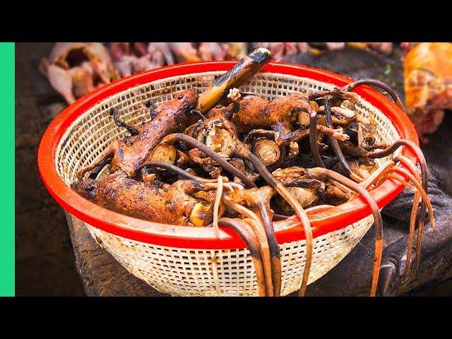 Bizarre Indonesian Jungle Food! Welcome to EXTREME Indonesian Cooking in North Sulawesi!