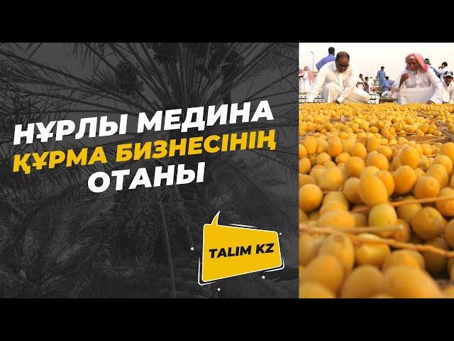 БАСҚА ЖЕРДЕН ТАППАЙСЫЗ | ҚҰРМА АҒАШЫНЫҢ БІЗГЕ БЕЛГІСІЗ ҚАСИЕТІ МЕН ПАЙДАСЫ