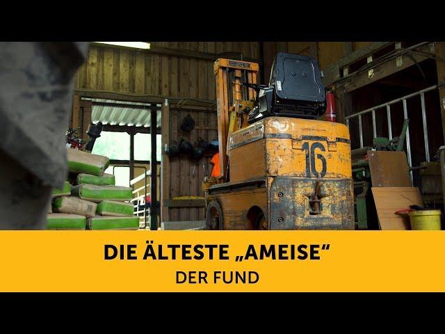 Die älteste Ameise (1) – Der Fund