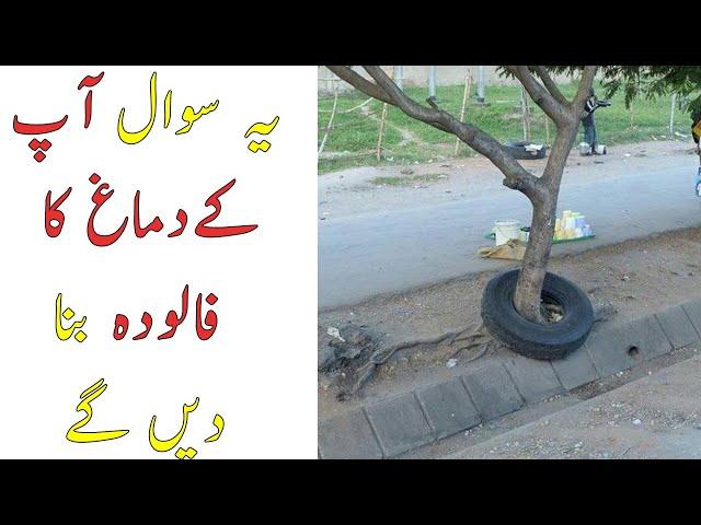 Top 10 Paradoxes That Will Blow Your Mind -  Hamza Javed