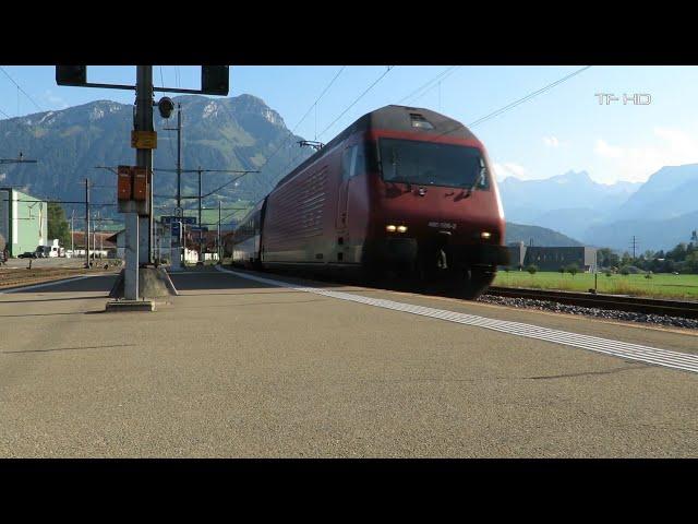 Züge der SBB - IR 26 mit Re 460