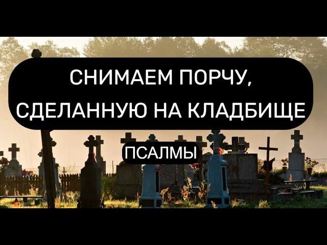 СНИМАЕМ КЛАДБИЩЕНСКУЮ ПОРЧУ. ОТЧИТКА