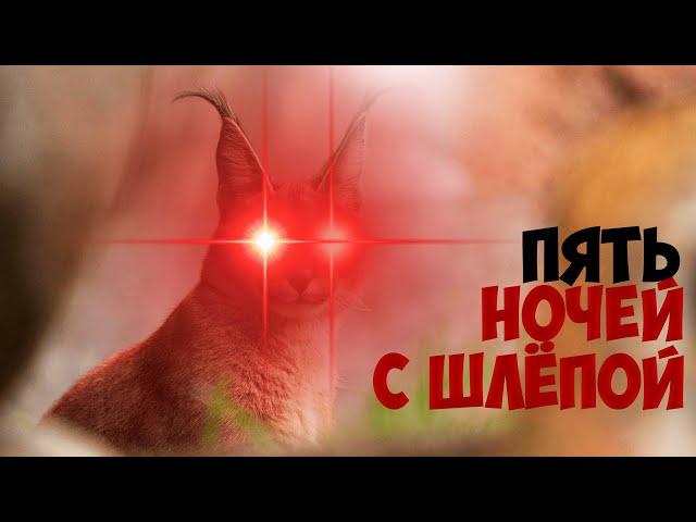 Пять ночей с Шлёпой! | Five nights at Floppa