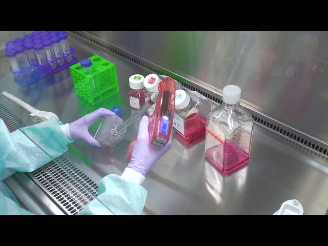 Passaging Cells: Cell Culture Basics