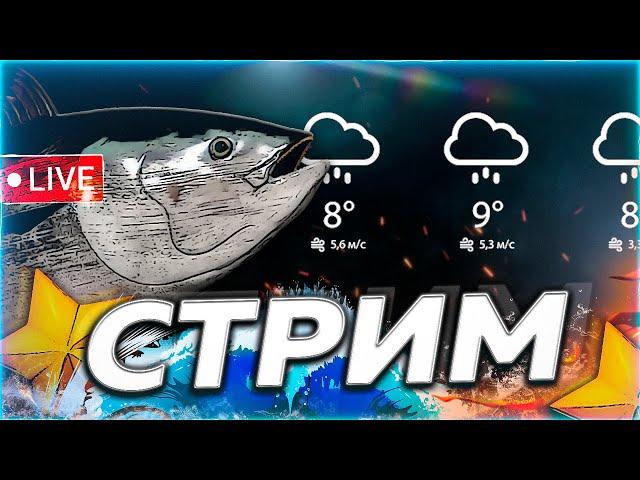 ️ ФАРМЁЖЖЖКА? ️ БУФФАЛО МОРЕ ЯМА  Рулетка & Розыгрыши  СТРИМ Русская Рыбалка 4