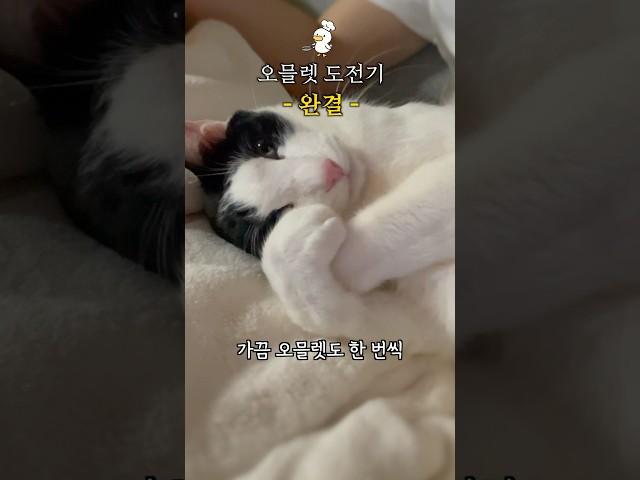 오믈렛 도전기 - 완결 -