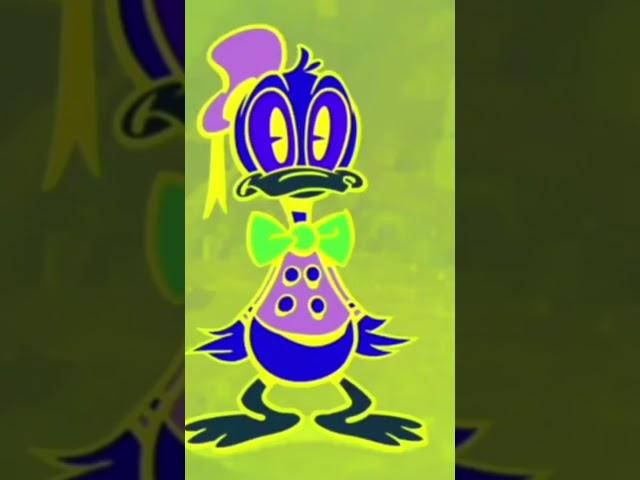 NN IWSE CSUPO EFFECTS SPONSORED BY KIASKY CSUPO 2001 effects effects