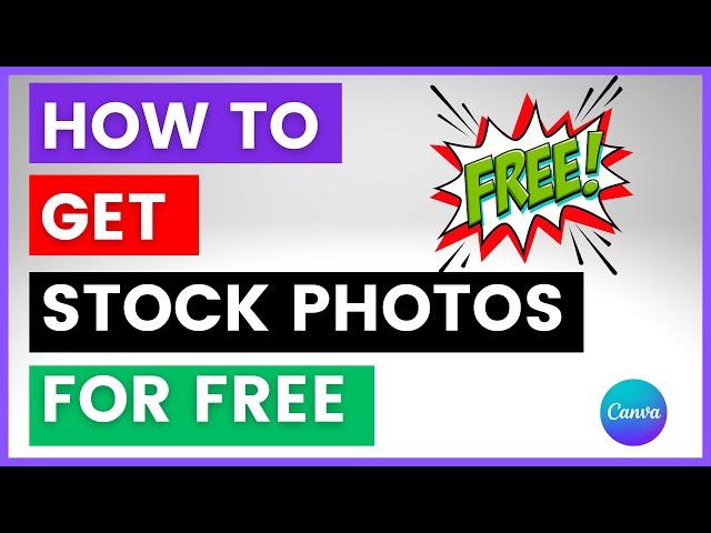 How To Get Stock Photos For Free? [in 2024] (Using Canva)