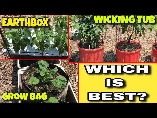 WICKING TUB vs GROW BAG vs EARTHBOX - WHICH WORKS BEST - PROS AND CONS - WHAT WILL WORK FOR YOU?