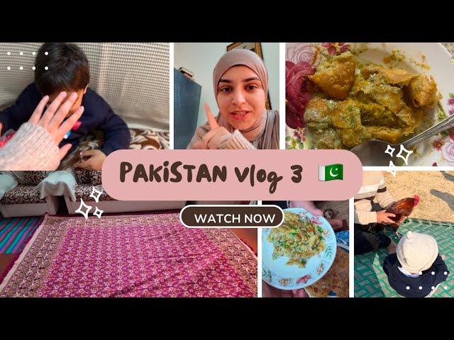 two mornings at my in-laws in 🫶 | Pakistan Vlog 3