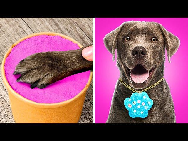 Popular and Unique DIYs for Pets  Smart Hacks and Gadgets for Pet Owners 