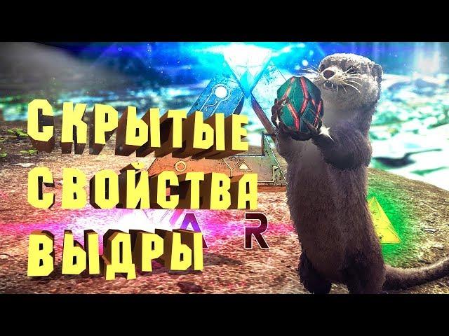 СКРЫТЫЕ СВОЙСТВА ВЫДРЫ, ПЕРЕНОСНОЙ ФУТЛЯР ДЛЯ АРТЕФАКТОВ - Секреты ARK